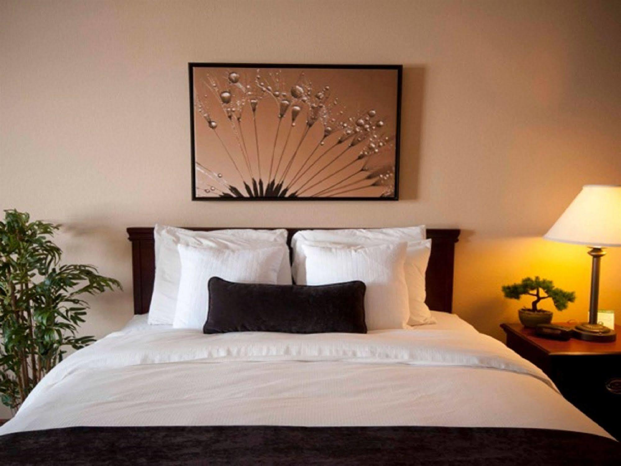 Town & Country Inn And Suites Quincy Εξωτερικό φωτογραφία